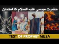 The shocking story of prophet musa moses prophetstories