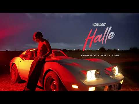 Joeboy Halle Official Music Audio 