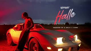 Watch Joeboy Halle video