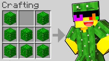 Minecraft... But You Can Craft ANY ARMOR