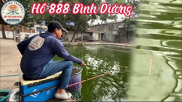 Câu Đài | Trải Nghiệm Câu Cá Rô Phi Hồ Câu 888 Bình Dương Cùng Mồi Khoai Lang | Duy Thế Phan Vlogs