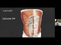 Abdominal wall blocks. Dr. Madan Narayanan (UK)