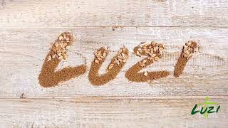 Luzi Advertising Nutriamo Ad Arte 2021