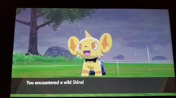 Shiny Shinx!! (Pokemon Sword/Isle of Armor)