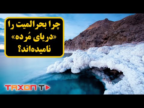 تصویری: بستر دریا: تسکین و ساکنان