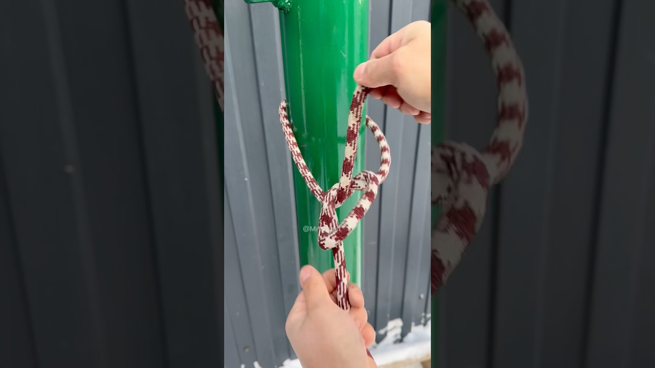 Incredible Bowline - The KING of Knots for ever!