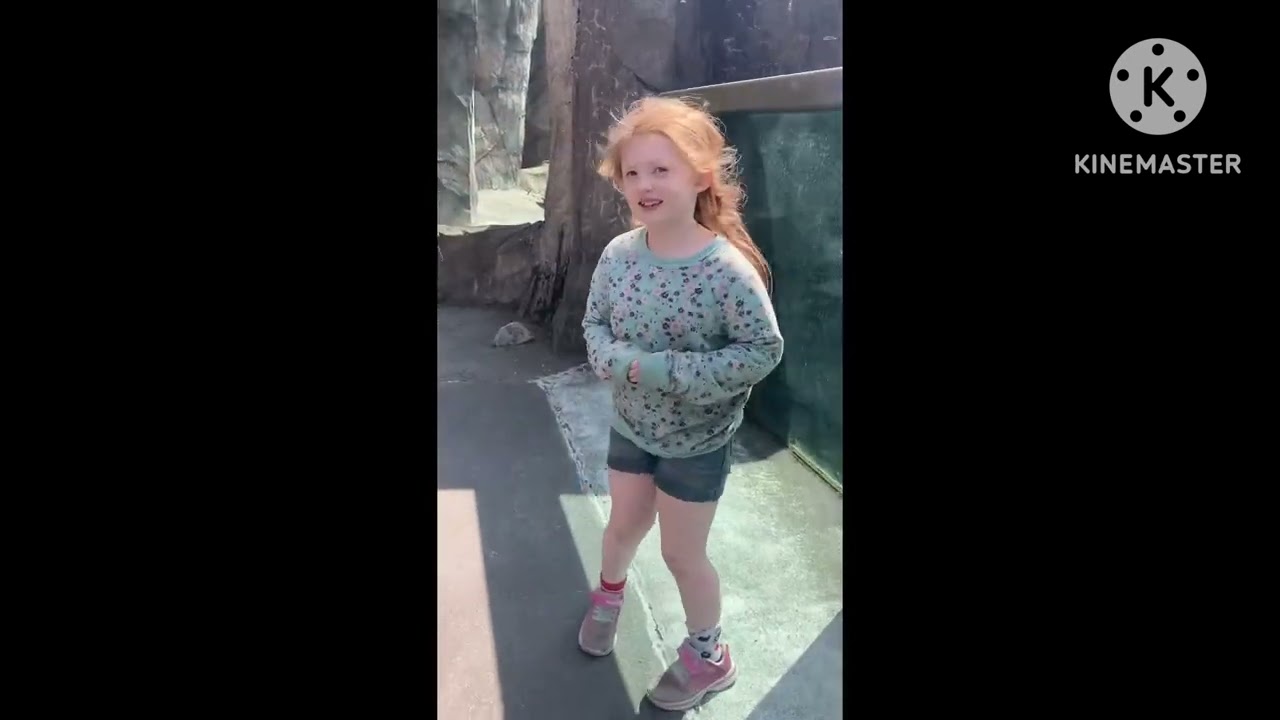 Our trip to Seward Alaska and the Alaska Sea life Center