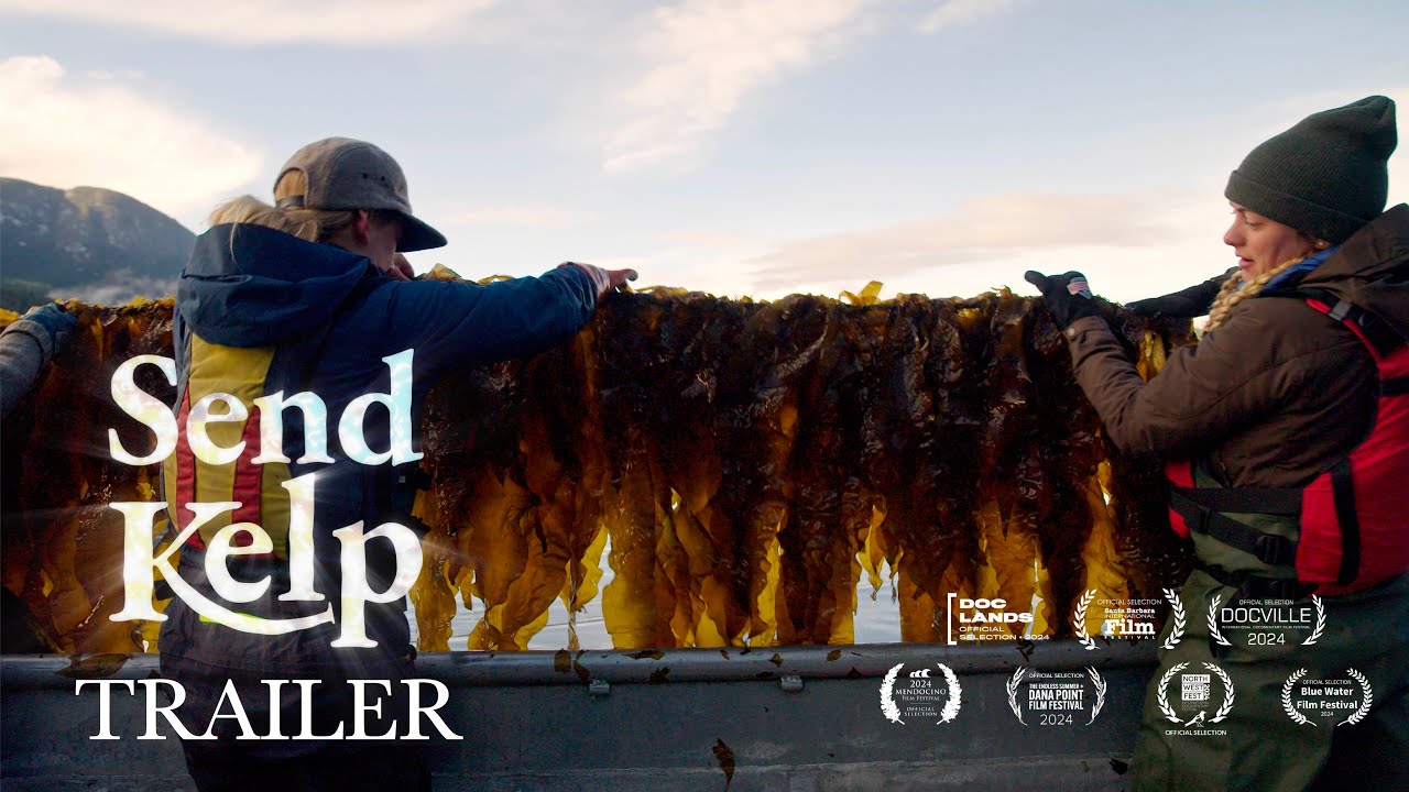 Send Kelp [Official Trailer] - YouTube