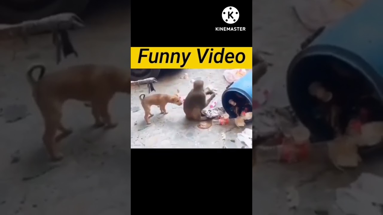 Funny #short 