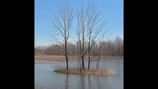 BIG IMPOUNDMENT SFSL
