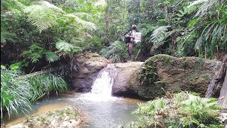 LOKASI KAPAS TEMBAK TERBAIK DI ROKAN HULU RIAU SUMATRA