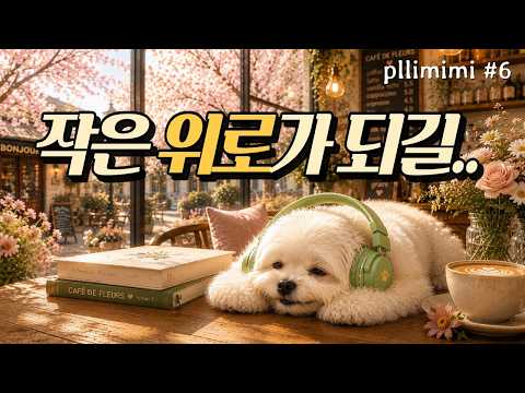 [playlist6] 🐶기분좋아지는 감성팝🌸 차분하고 편안한 멜로디, 플레이리스트