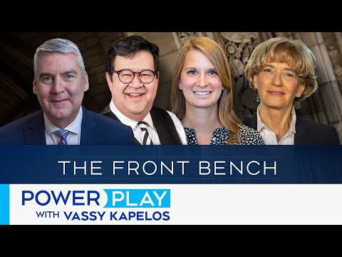 Unpacking the testimony of Alexandre Trudeau | Power Play with Vassy Kapelos