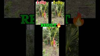 Magical tutorial video no AI edit video 📷 #viralvideo #viralmagicvideo #viraleditvideo #youtubeviral