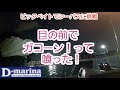 2021年10月18日 ビックベイトでシーバス釣ってきた