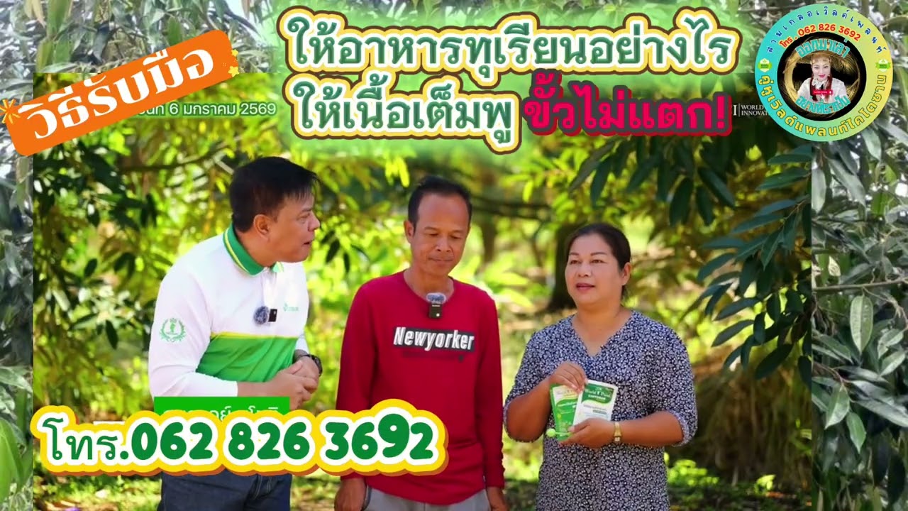 เตือนชาวสวน! ให้อาหารทุเรียนถี่เกินไป ระวังท่ออาหารแตก ขั้วระเบิด (พร้อมวิธีแก้)