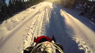 Taylor Brook Rd January 2016 snowmobiling Newfoundland