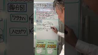 【中学受験】算数文章題•倍数算②始めが同じ場合練習