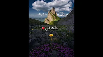 يا أمي ما شكل السماء كأنها امي اناشيد مشاري العفاسي امي 