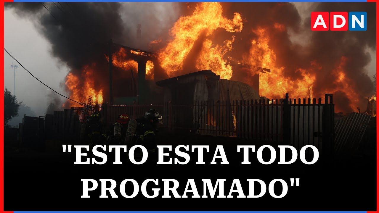 INCENDIOS FORESTALES: Vecinos relatan cómo los han afectado las llamas en la región del Biobío