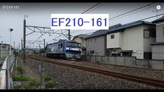 EF210-161   EF210形　電気機関車　桃太郎