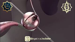 Ustoz Shukurulloh Domla I Shukur Qiling.....