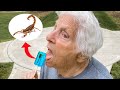 There's A Scorpion In Granny's Lollipop | Ross Smith