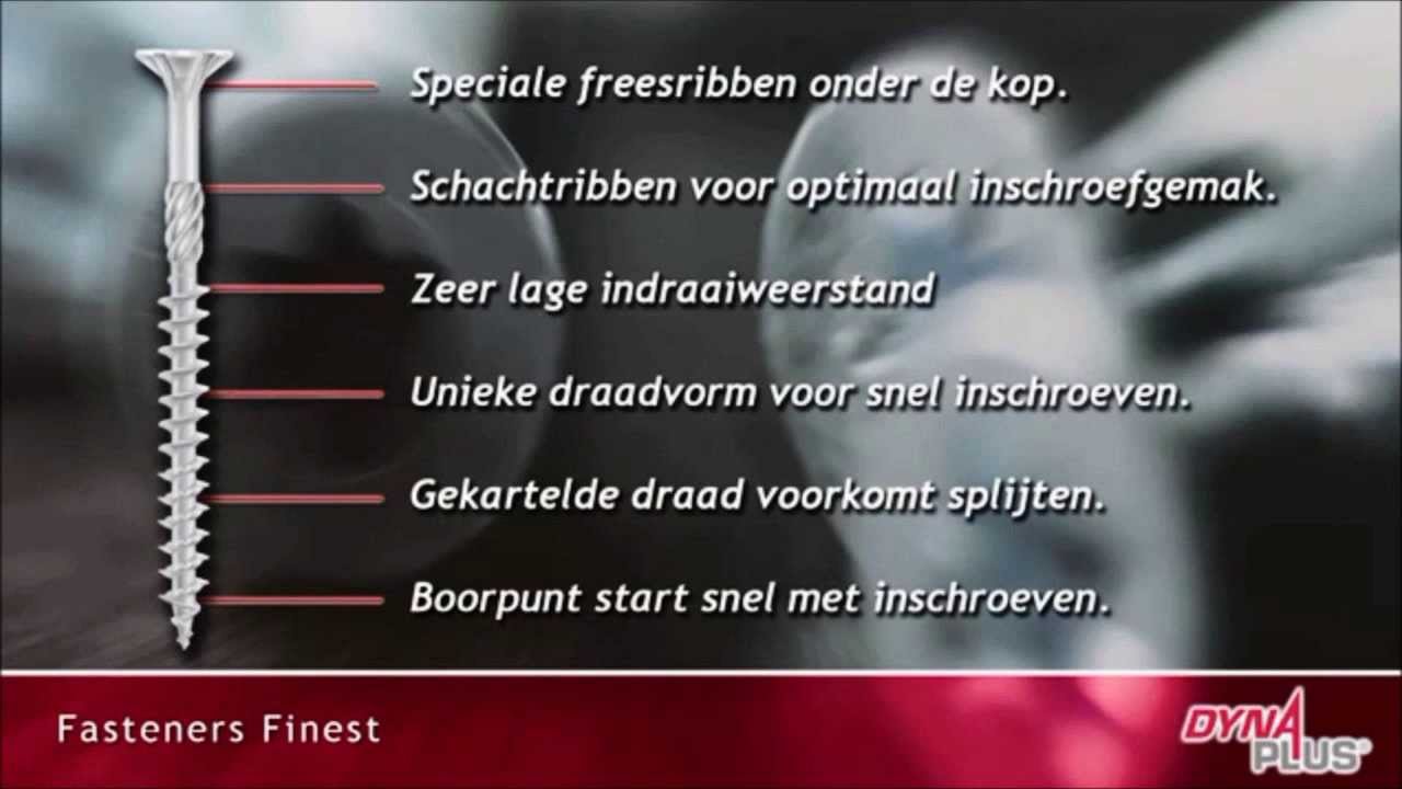 299 DYNAPLUS UNIVERSEELSCHROEF