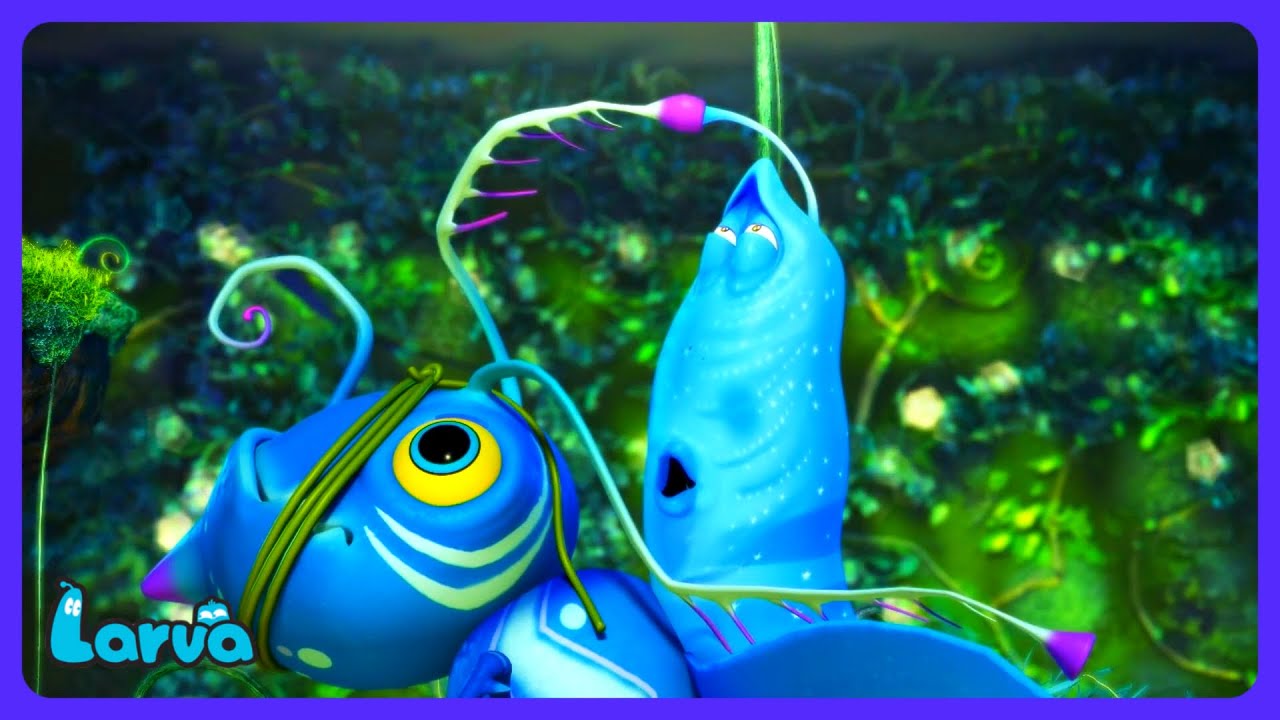 Larva - Wielka Niebieska Przygoda | Bajki dla dzieci | WildBrain Dzieci