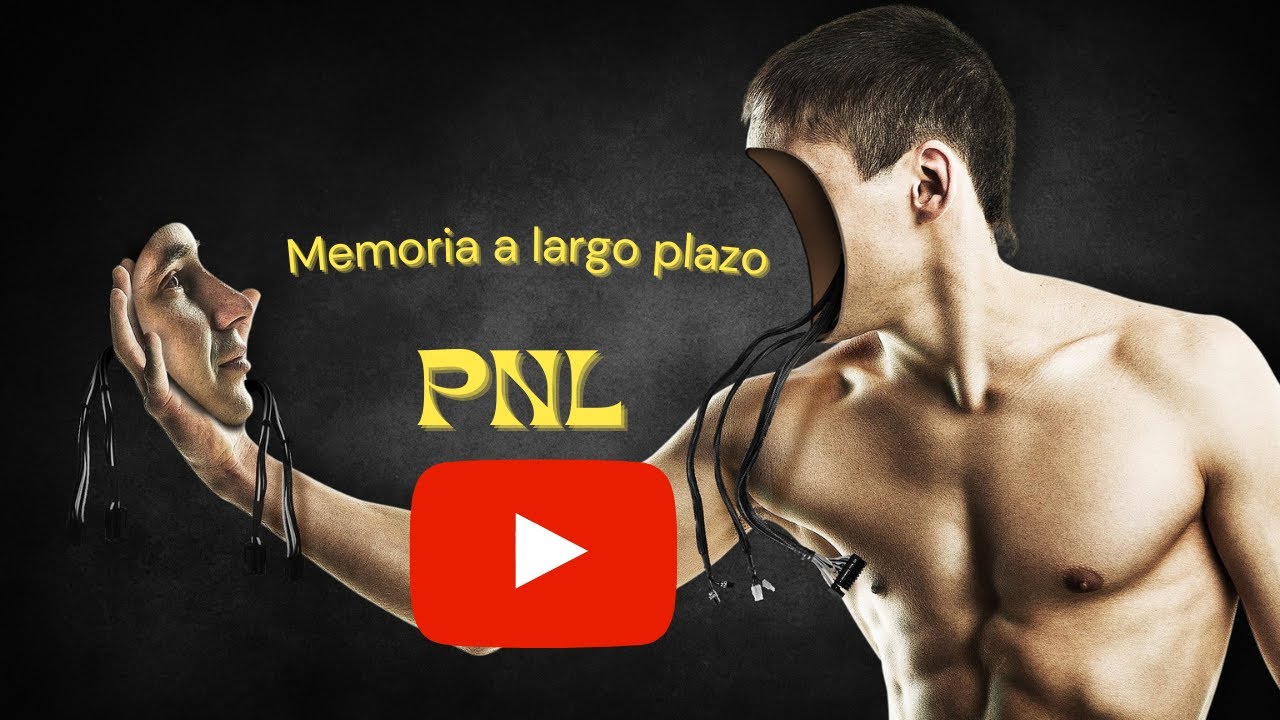 PNL: Memoria de largo plazo y la reestructuración sináptica