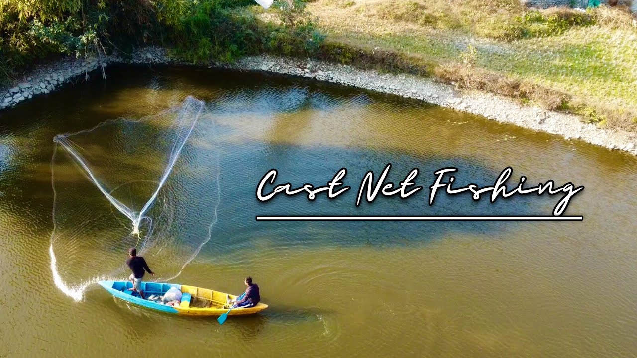 Cast Net Fishing Pokhara Fishing Park Tilapia Fish YouTube