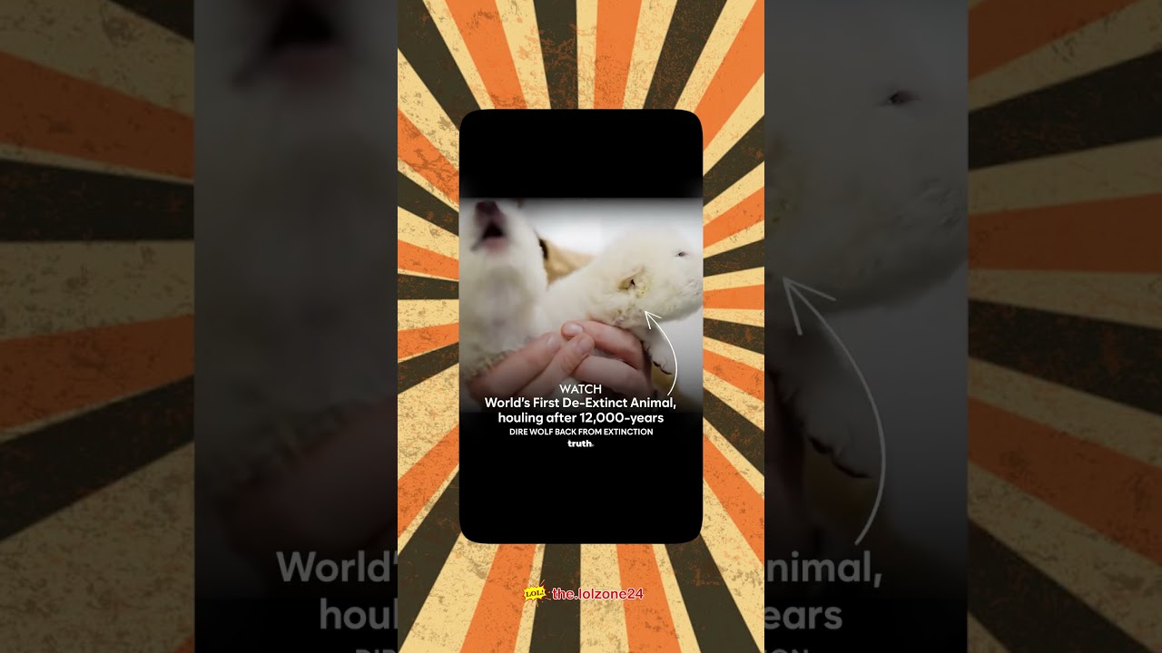 “12,000 Years Extinct… and They’re BACK! 🐺 Dire Wolves Resurrected in 2025!” 