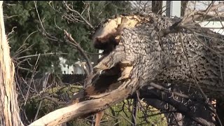 Colorado Springs Utilities prepares for wind gusts