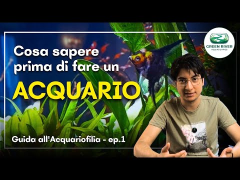 Cosa sapere prima di fare un acquario | Guida all'acquariofilia ep.1 ...