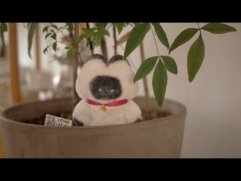 샴 고양이 인형 만들기 🐈 <strong>Making</strong> Siamese <strong>Cat</strong> Dolls