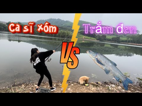 Khoá Cứng Máy Cho Vợ Solo Trắm Đen - Tiếp Khách Ghé Chơi Món Mầm Đá