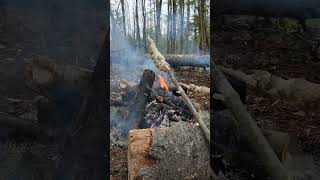 Honey Bannock & Fall Camping #camping #outdoors #bushcraft #survival #outdoorboys