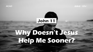 【John 11】Why Didn’t Jesus Help Me Sooner? ｜ACAD Bible Reading