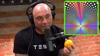 Joe Rogan Talks to Dan Aykroyd About DMT