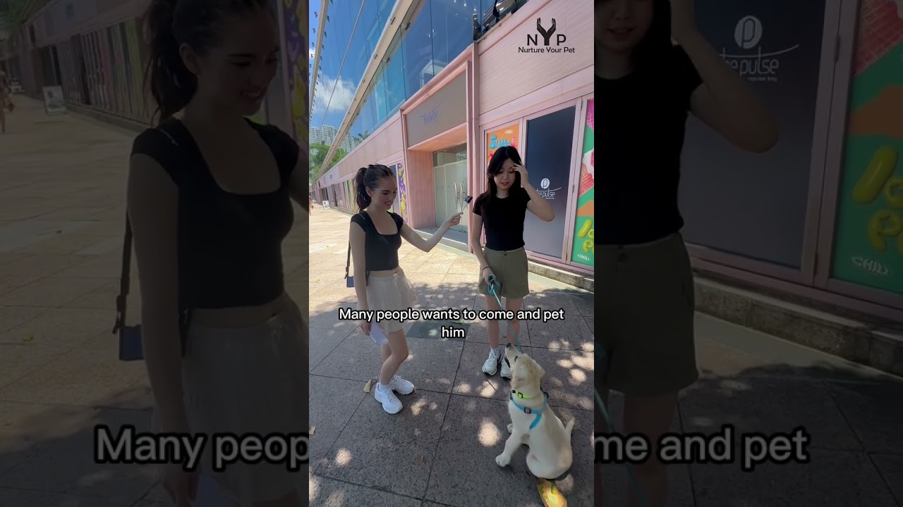 The Heartwarming Story of Prince, the Beloved Community Puppy