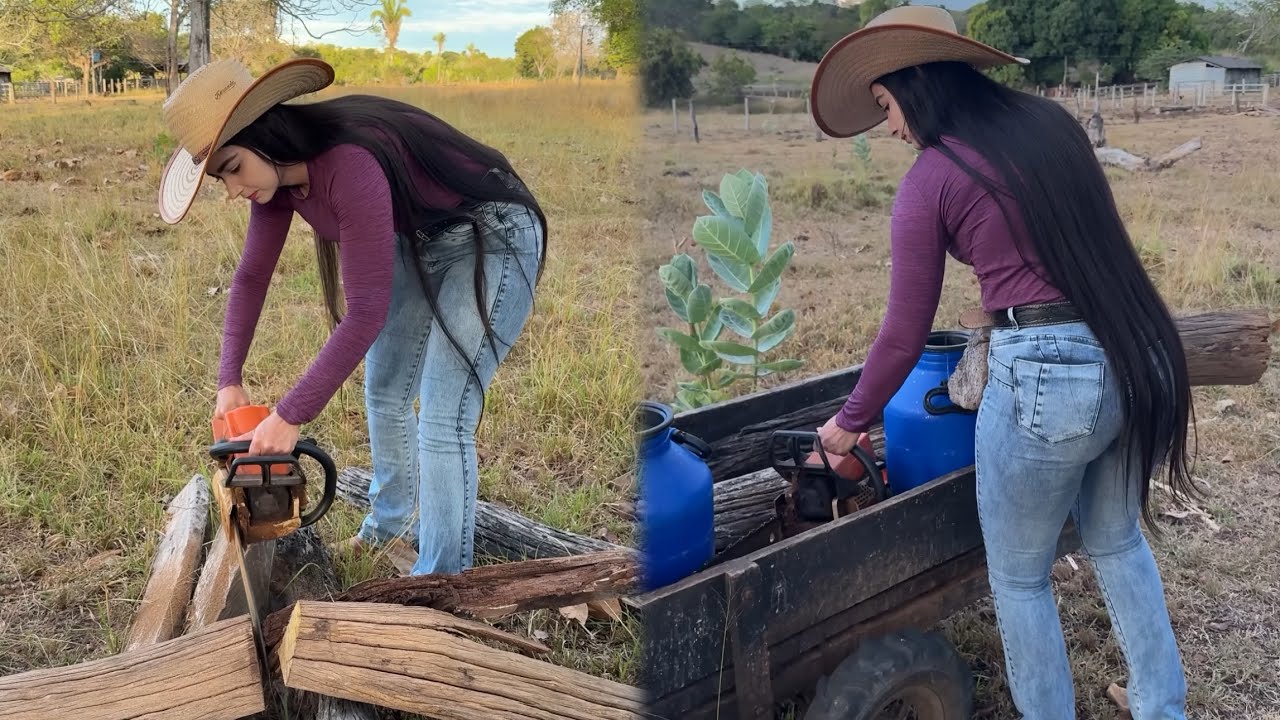 Cortando madeira 🪵 