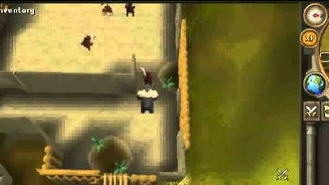 Runescape NEW RiD Thieving Bot