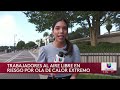 Trabajadores agrícolas soportan calor extremo sin denunciar por temor a despido o deportación