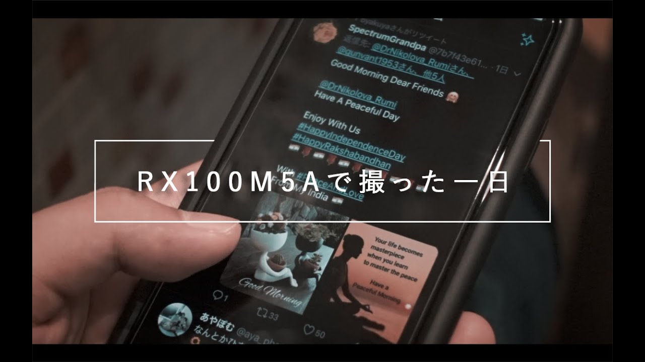 Amazon   L For