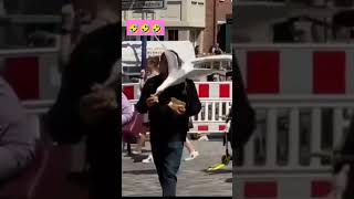 Funny Videos Funny Incidents Videos Caught On Camera Viral Trending Kids Adults Videos Birds Videos