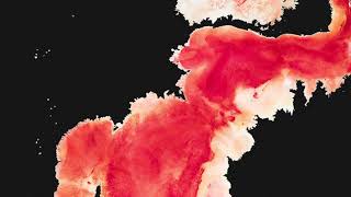 Babeheaven – 4 Days (Official Visualiser)