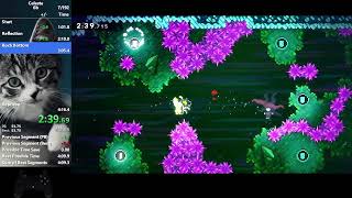 Celeste Reflection B-Side Speedrun in 4:07.265