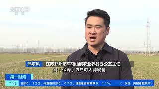 [第一时间]江苏邳州：科技助力春管 60万亩大蒜进入返青期| 财经风云