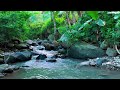 🌊 Relaxing River Sounds for Meditation, Stress Relief and Deep Sleep 💤