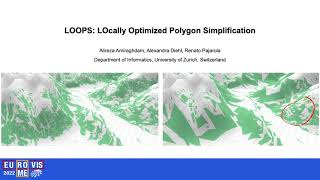 LOOPS: Locally Optimized Polygon Simplification